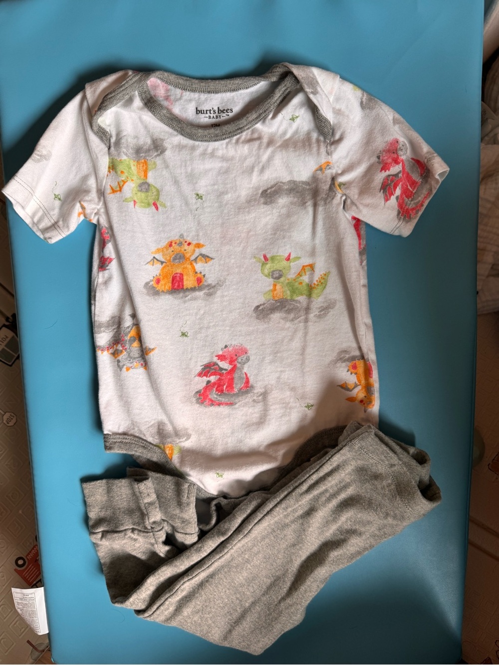 Burt's Bees Baby White Dragon Print Short Sleeve Bodysuit with Gray Trim
